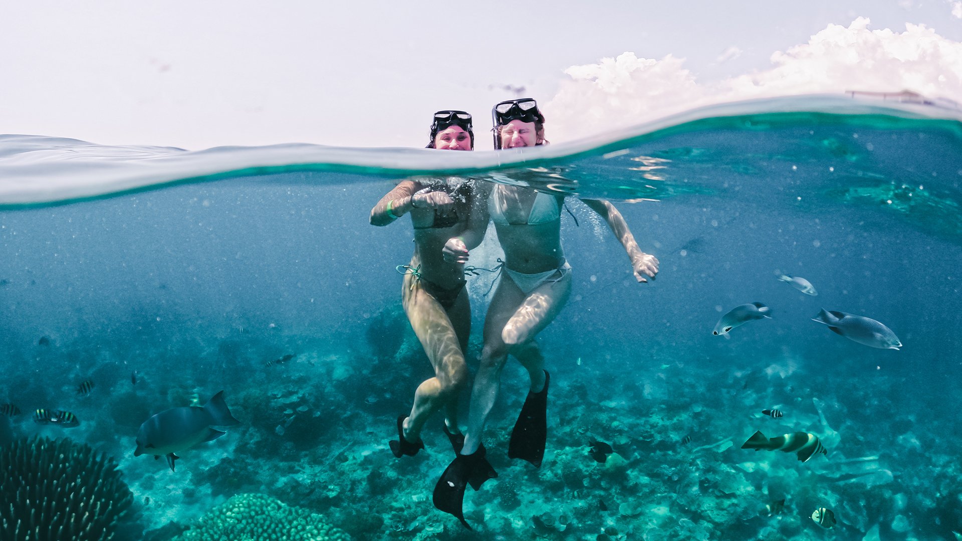 Snorkeling at Gili Island