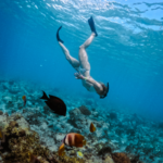 Snorkeling on Nusa Lembongan