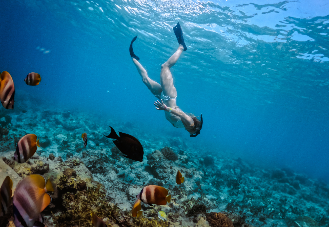 Snorkeling